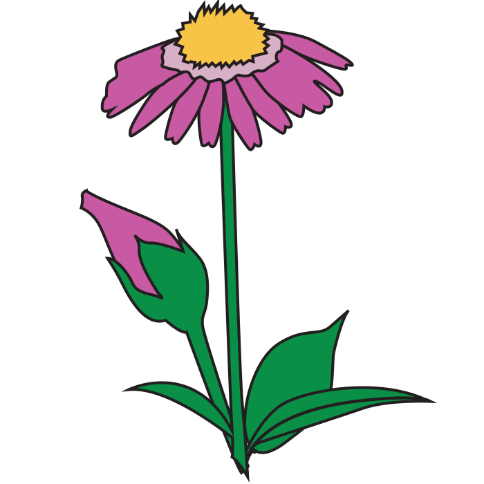 FreshFlowers
